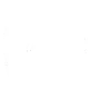 Careertune Logo in weiss
